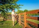 St Petersburg Fencing Co