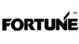 FORTUNE EXTENDABLES CORP.