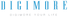 DIGIMORE ELECTRONICS CO., LTD.
